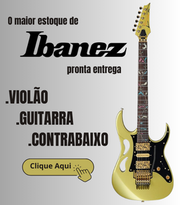 Ibanez 02-2024