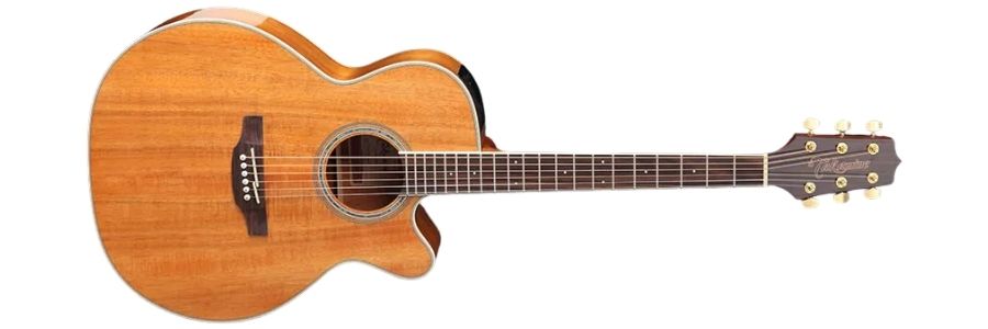 gn77 takamine