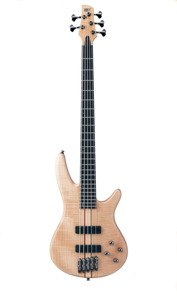 Contrabaixo Ibanez SR 1005 EFM