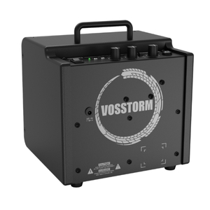 Cubo Guitarra Vosstorm GX-6 15W RMS Falante 6