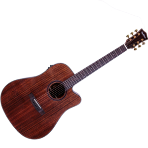 Violão Redburn RB-17 SW Aço Natural Fosco Fishman Presys II