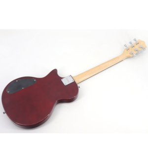 Guitarra Srinberg LPS 200 TWR