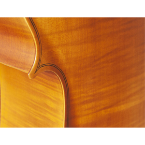 Violoncello Hofma HCE-110 4/4 com Capa Extra Luxo