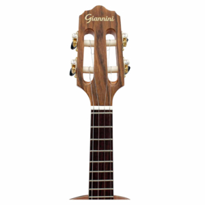 Cavaco Giannini Cadência CS8 Pafe Fishman NG