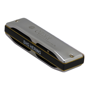 Gaita Diatônica Hering RK202D Ré Silver