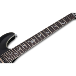 Guitarra Schecter Damien Platinum-6 FR S Black Satin BKS #1189