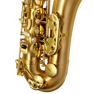 Saxofone Tenor P.Mauriat Le Bravo 200 TGL Gold Lacquer