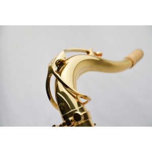 Saxofone Tenor P.Mauriat PMST-185 TGL Gold Lacquer