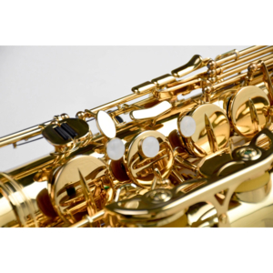 Saxofone Tenor P.Mauriat PMST-185 TGL Gold Lacquer