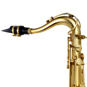 Saxofone Tenor P.Mauriat PMXT-66RGL Gold Lacquer