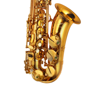 Saxofone Alto P.Mauriat PMSA-185 AGL Gold Lacquer 