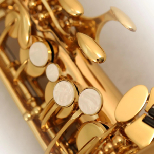 Saxofone Alto Cannonball A90-L Falcon Standard