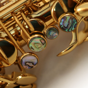 Saxofone Alto Cannonball ASCEP-L Sceptyr Series