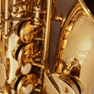 Saxofone Alto Cannonball AA-L Alcazar Alto Gold Lacquered