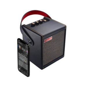 Amplificador Positive Grid Spark Mini 10 Watt Bluetooth BLK