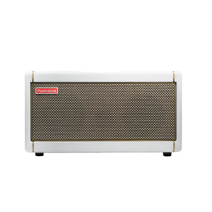 Amplificador Positive Grid Spark 40 Bluetooth PEARL