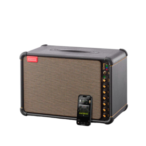 Amplificador Positive Grid Spark Live Bluetooth BLK