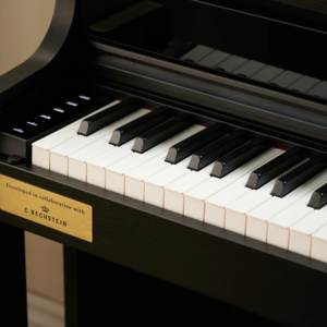 Piano Digital Casio Celviano AP 750 BK