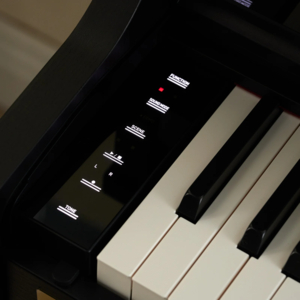 Piano Digital Casio Celviano AP 750 BK