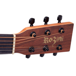 Violão Rozini RX215.FPP.F.LP P.Brasil Fishman Presys+